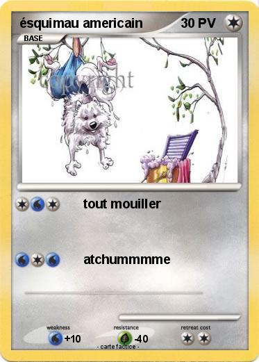 Pokemon ésquimau americain