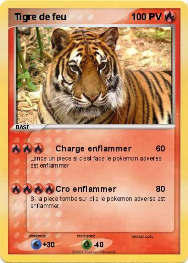 Pokemon Tigre de feu
