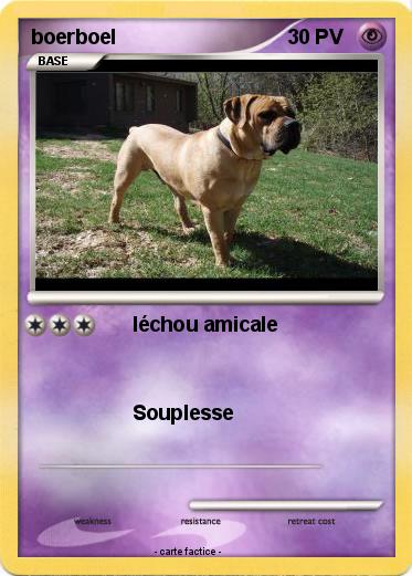 Pokemon boerboel