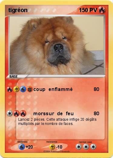 Pokemon tigréon