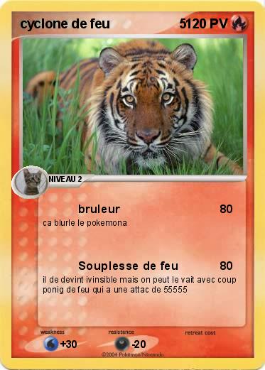 Pokemon cyclone de feu                   5