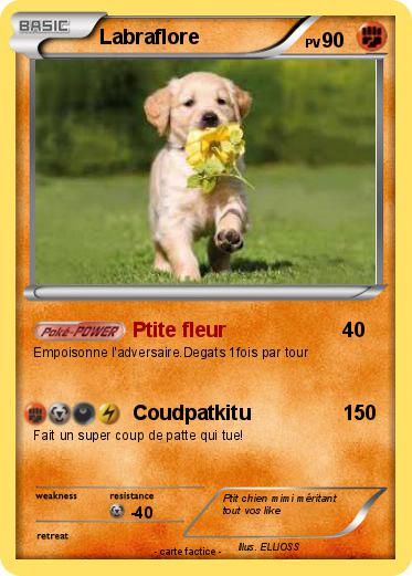 Pokemon Labraflore