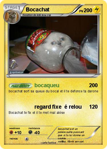Pokemon Bocachat