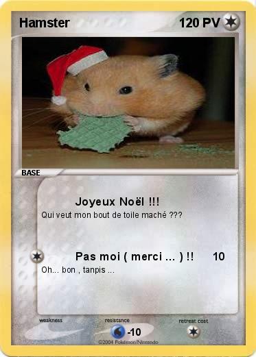 Pokemon Hamster