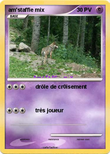 Pokemon am'staffie mix