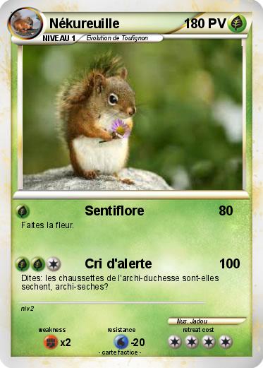 Pokemon Nékureuille
