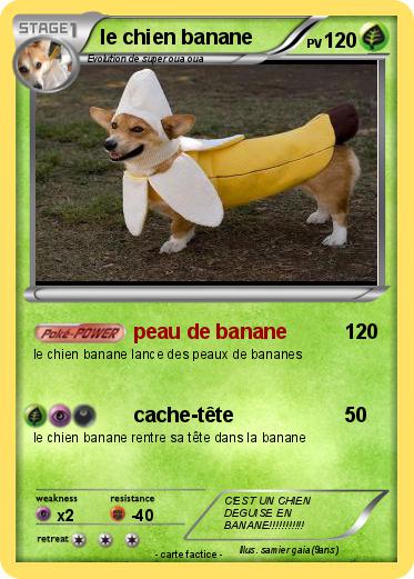 Pokemon le chien banane