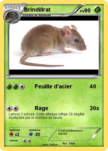Pokemon Brindillrat