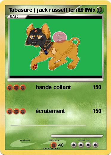 Pokemon Tabasure ( jack russell terrier mix )