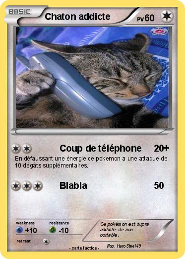 Pokemon Chaton addicte