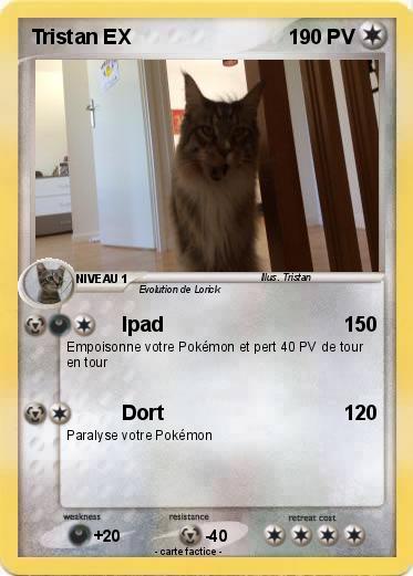 Pokemon Tristan EX