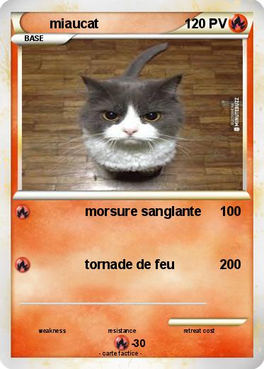 Pokemon miaucat