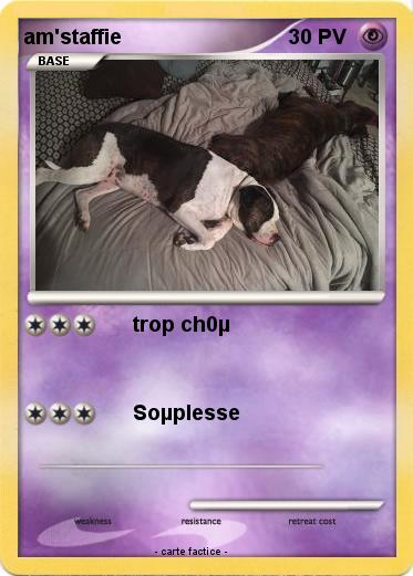 Pokemon am'staffie