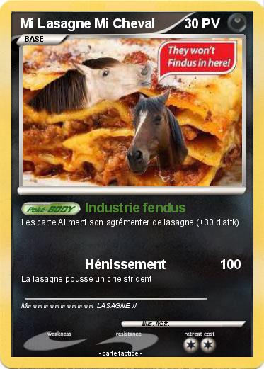 Pokemon Mi Lasagne Mi Cheval