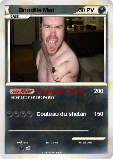 Pokemon Brindille Man