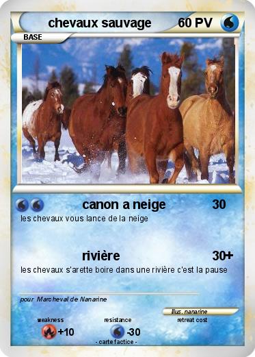 Pokemon chevaux sauvage