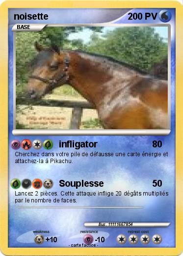 Pokemon noisette