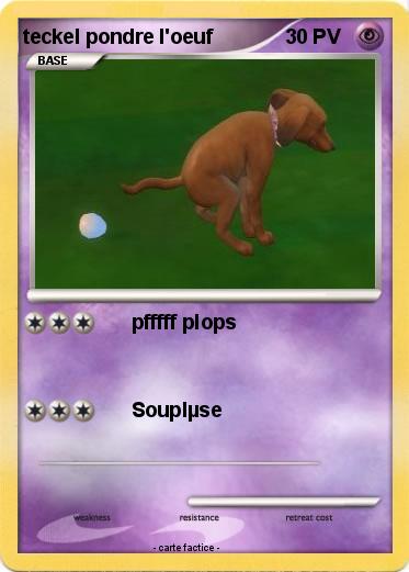 Pokemon teckel pondre l'oeuf