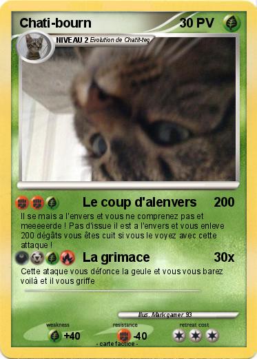 Pokemon Chati-bourn