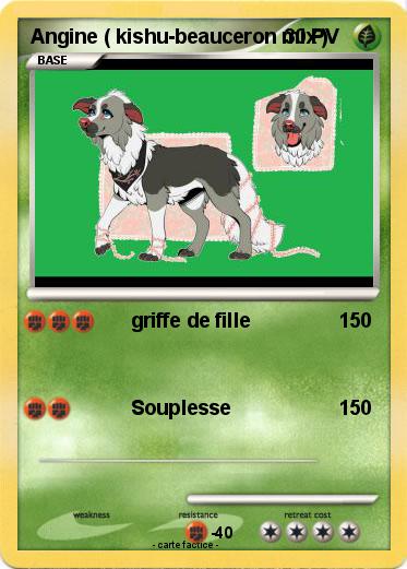 Pokemon Angine ( kishu-beauceron mix )