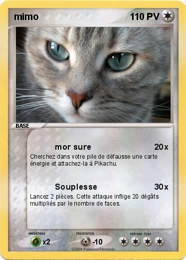 Pokemon mimo