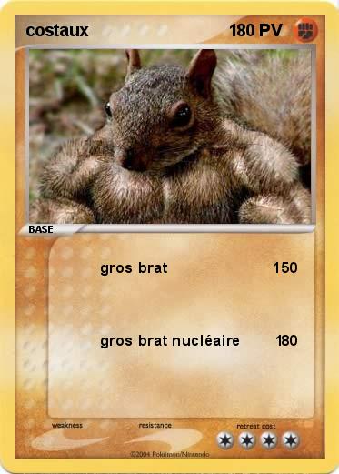 Pokemon costaux                              1
