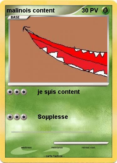 Pokemon malinois content