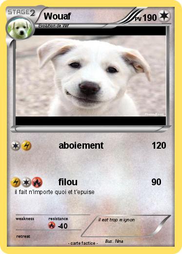 Pokemon Wouaf