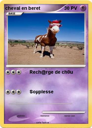 Pokemon cheval en beret