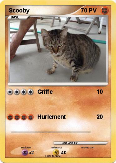 Pokemon Scooby