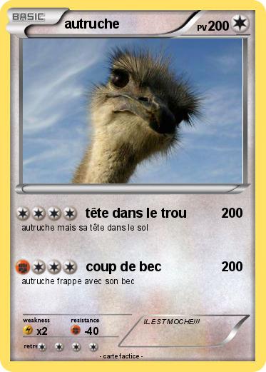Pokemon autruche