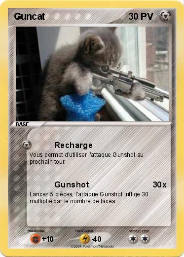 Pokemon Guncat