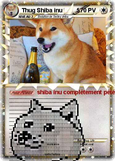Pokemon Thug Shiba inu         5