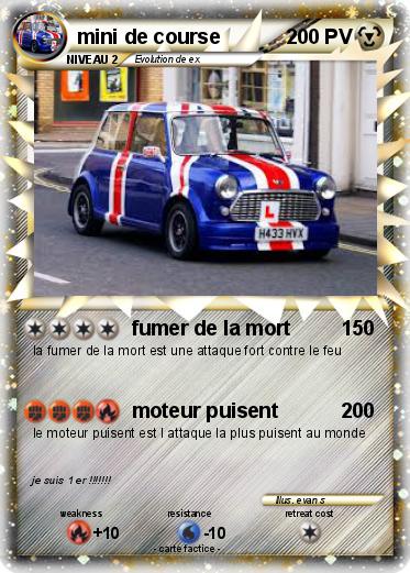 Pokemon mini de course