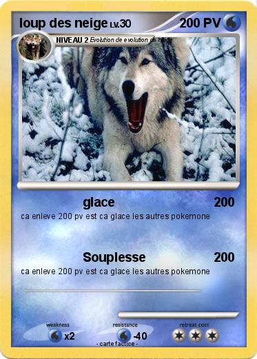 Pokemon loup des neige