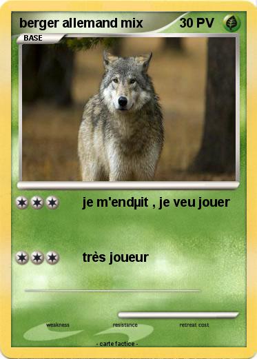 Pokemon berger allemand mix