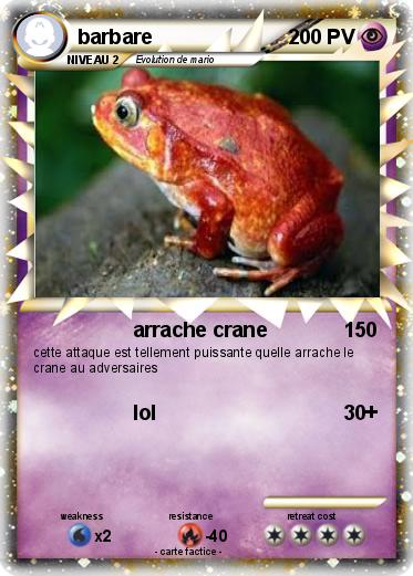 Pokemon barbare
