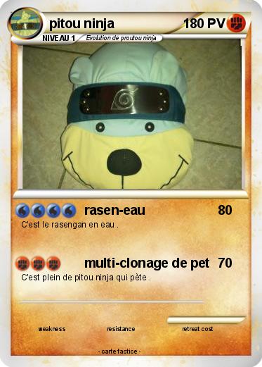Pokemon pitou ninja