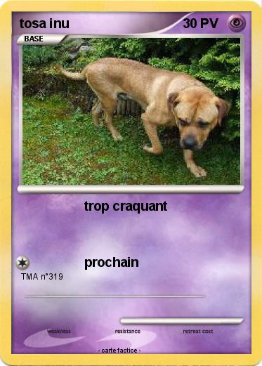 Pokemon tosa inu