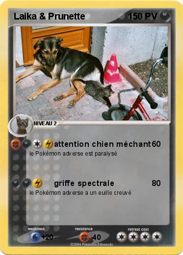 Pokemon Laika & Prunette