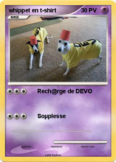 Pokemon whippet en t-shirt