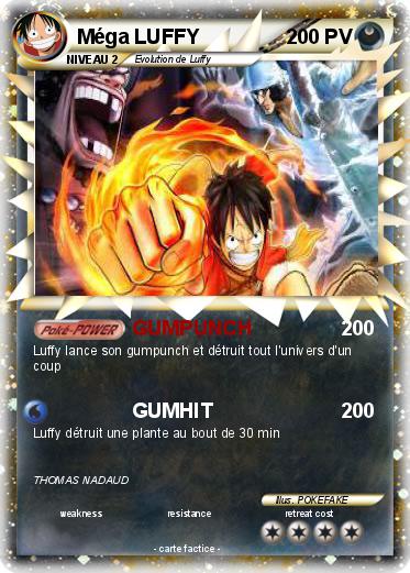 Pokemon Méga LUFFY