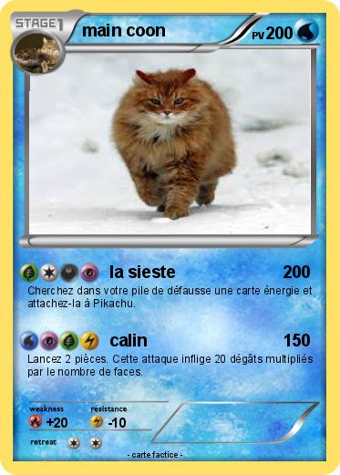 Pokemon main coon