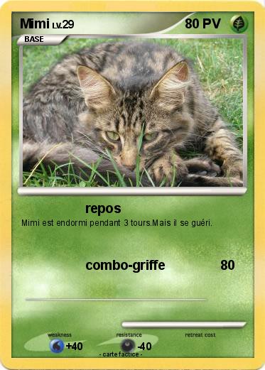 Pokemon Mimi