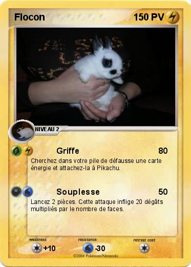 Pokemon Flocon