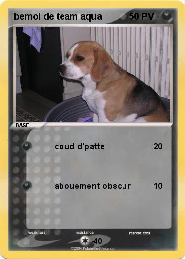 Pokemon bemol de team aqua