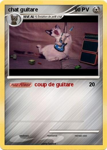 Pokemon chat guitare