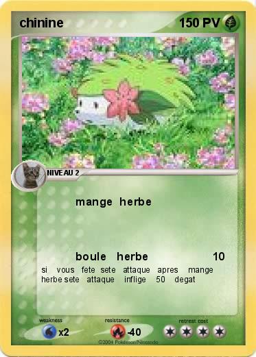 Pokemon chinine