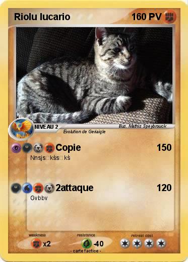 Pokemon Riolu lucario