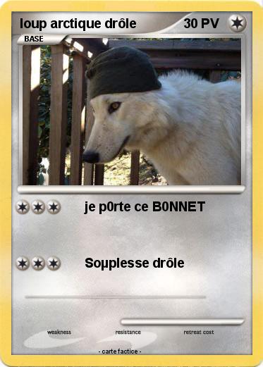 Pokemon loup arctique drôle